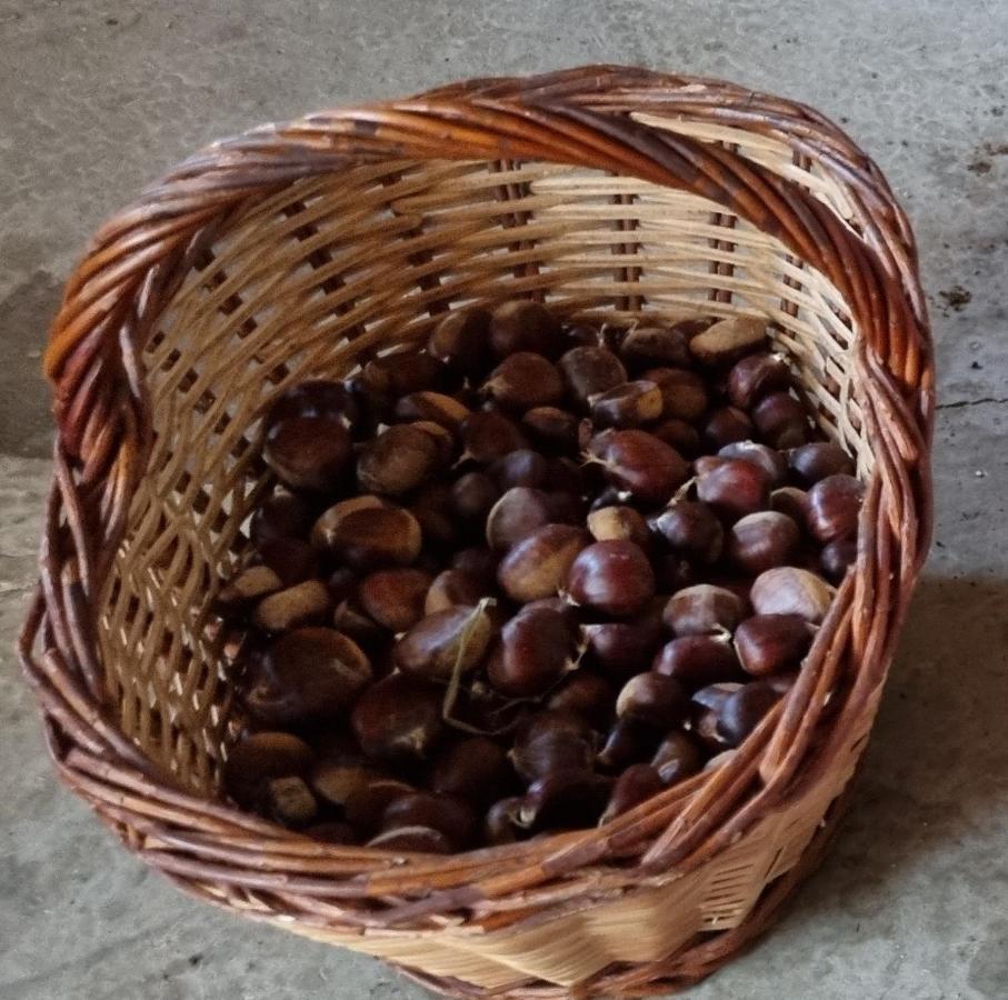 Willa Ca La Pauleta Sant Hilari Sacalm Zewnętrze zdjęcie